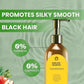 Japanese Long Lasting Natural Hair Dye Shampoo